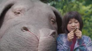 'Okja': Tráiler de la película de Netflix sobre un súper cerdo modificado genéticamente