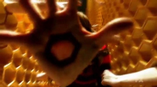 'American Horror Story: Cult': Impactante teaser donde unos panales de abeja conducen a la locura