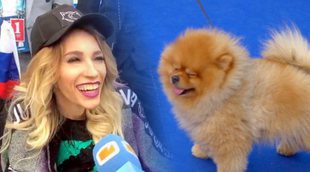 Julia Samoylova (Eurovisión 2018) acude a la Blue Carpet con su perro: "Es mi guardaespaldas"