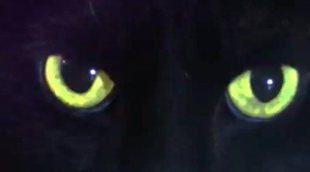 Teaser de 'Chilling Adventures of Sabrina', serie de Netflix