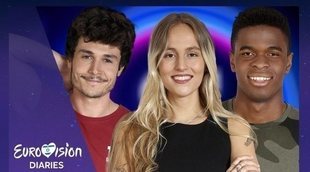 'Eurovisión Diaries': Lo mejor y lo peor de las canciones de la preselección de Eurovisión 2019 en 'OT 2018'