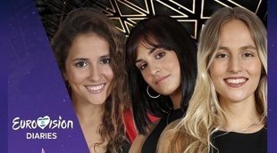 'Eurovisión Diaries': ¿Qué canción y concursante de 'OT 2018' debe ir a Eurovisión 2019?
