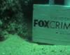 Fox Crime presenta "El crimen del verano"