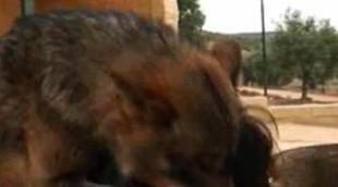 Video de presentación de la nueva parrilla de laSexta2