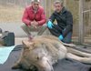 'Wild Frank' y Frank Cuesta ponen en el punto de vista al lobo ibérico y la propuesta de su caza regulada