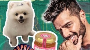 ¿Cómo se extendió el bulo de Ricky Martin, el perro y la mermelada de 'Sorpresa, Sorpresa' sin redes?