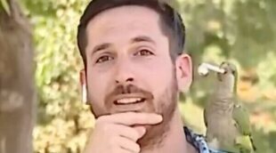 Un loro roba el auricular de un reportero mientras informaba sobre el auge de los hurtos