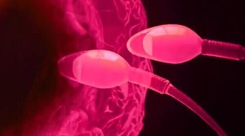 'Ni que fuéramos Shhh' parodia el embarazo de Alejandra Rubio con pullitas a su novio y a 'Así es la vida' 