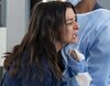 'Anatomía de Grey' busca desesperadamente a Bailey y Link entre las llamas en la promo de la temporada 22