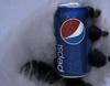 El oso polar de Coca-Cola bebe Pepsi en una nueva campaña