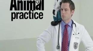 Avance de 'Animal Practice' de NBC