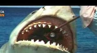Canal Hollywood dedica el mes de agosto a la saga "Tiburón"