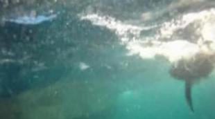 Discovery Max estrena el próximo domingo 'La pesca del gladiador'