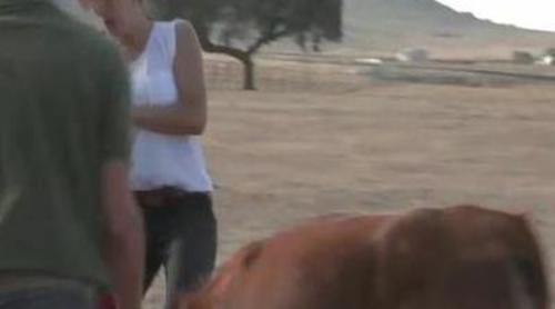 Una vaquilla se lleva por delante a Adela Úcar en el arranque de '21 días'