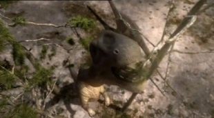 Promo de 'Energysaurus', el nuevo evento de Energy con dinosaurios