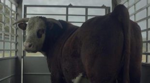 Anuncio Chevrolet Silverado 2015 de la Super Bowl 2014