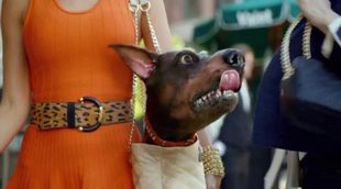 Anuncio de Audi 'Doberhuahua' para la Super Bowl 2014