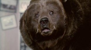 Anuncio de Chobani, con un oso, de la Super Bowl 2014