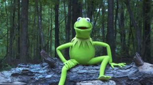 La rana Gustavo cumple el reto del cubo de agua helada