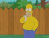 Homer Simpson, el último en cumplir el reto del cubo de agua helada