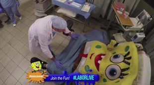 Bob Esponja da a luz: así sería su parto