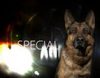Así era 'Agente especial' (Telemadrid), la serie documental sobre los perros de la Guardia Civil