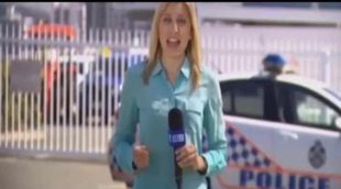 Una "hormiga gigante australiana" pica en directo a una reportera