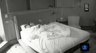 Paula ('GH 15') y el Chile ('GH México') desatan su amor en el primer edredoning de su intercambio